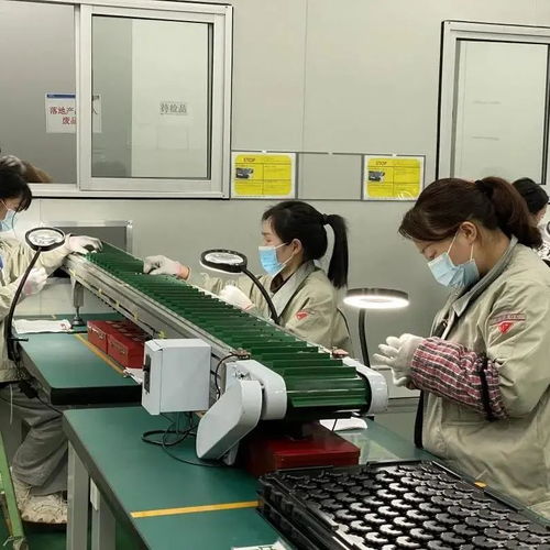 突破10億美元 東陽這家企業(yè)自營進出口總額創(chuàng)新高