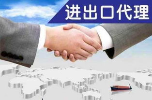 上海各區(qū)辦理進出口權(quán)業(yè)務(wù)的相關(guān)資料以及流程