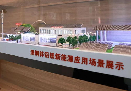 市領(lǐng)導(dǎo)調(diào)研市區(qū)重點(diǎn)企業(yè)