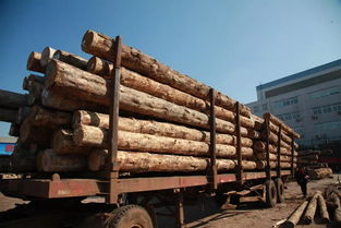 我國木材產品消費量躍居世界前列與木材加工行業發展