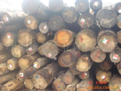 進口優質木材加工 新西蘭輻射松、南美花旗松與落葉松供應