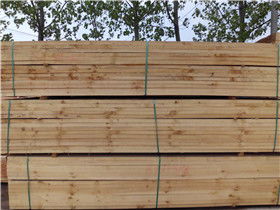 日照市嵐山區博通木業 聚焦木材加工，打造區域產業新標桿