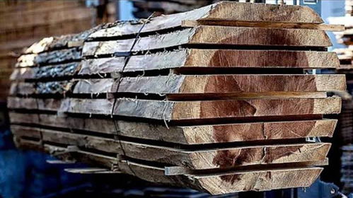 揭秘國外現代化木材加工全過程 高效、精準與可持續的藝術