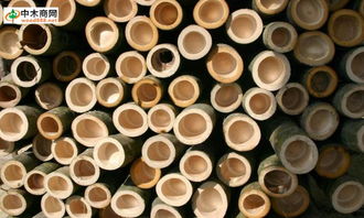 一站式服務(wù)，盡在中木商網(wǎng) 木材采購與資訊的首選平臺(tái)