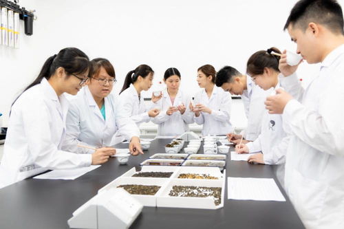 用科技支撐靈感 喜茶首創(chuàng)行業(yè)專業(yè)食品營(yíng)養(yǎng)與科學(xué)研究科技信息咨詢服務(wù)